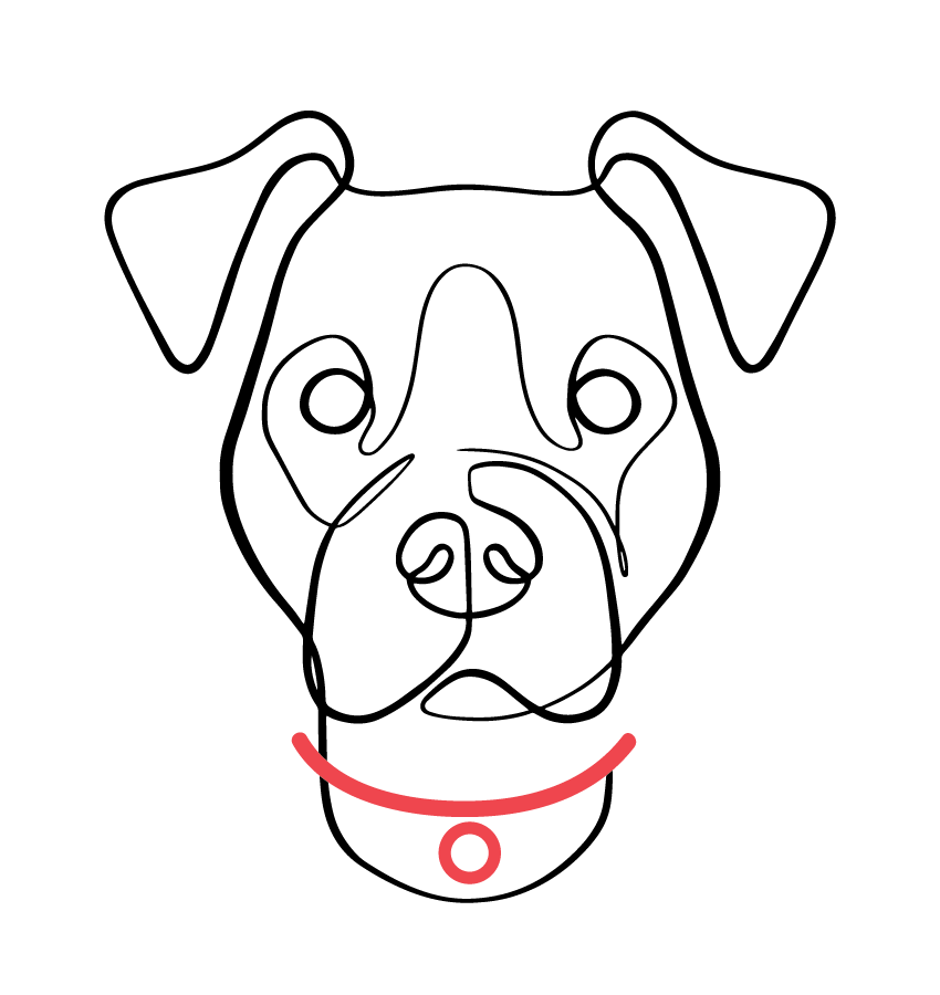 N.G. Collars