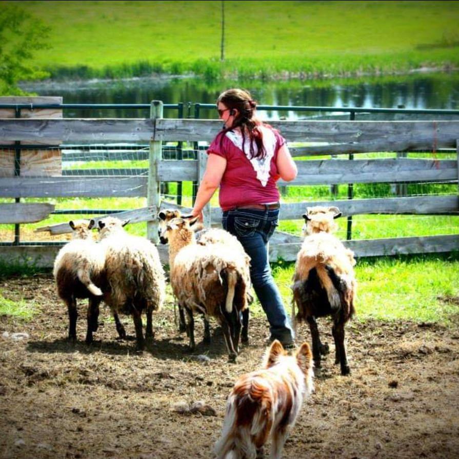 Aggression Training Part 3: The Balanced Perspective