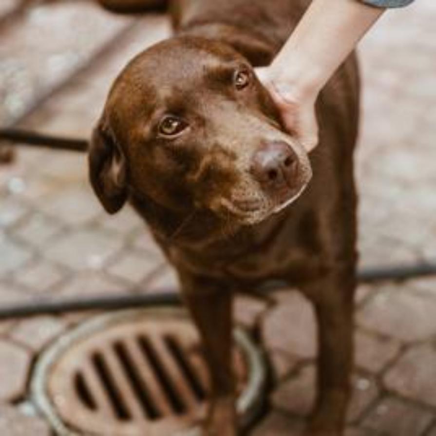 Aggression Training part 6: Conclusion