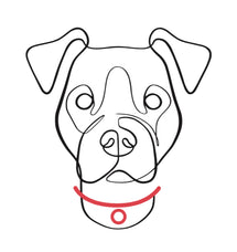 N.G. Collars logo