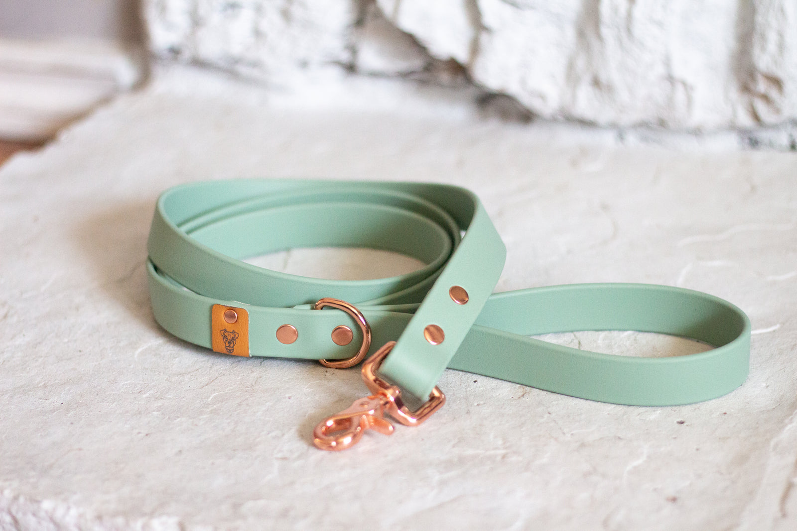 Sage Proof Leash