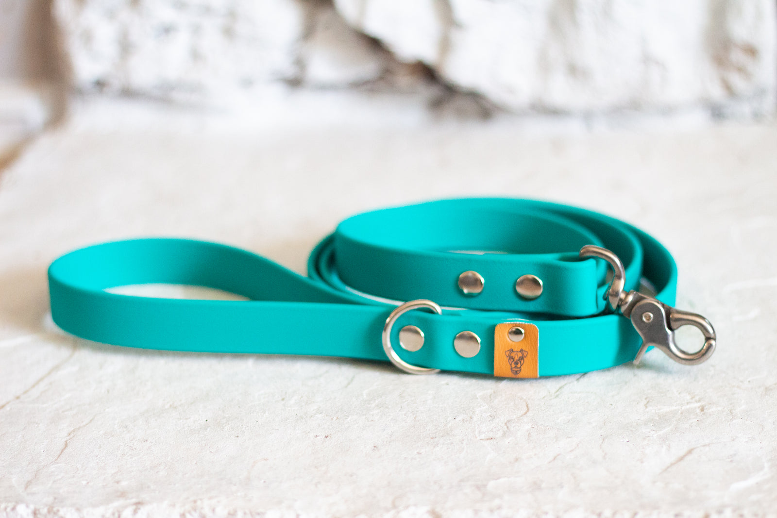 Teal Proof Leash