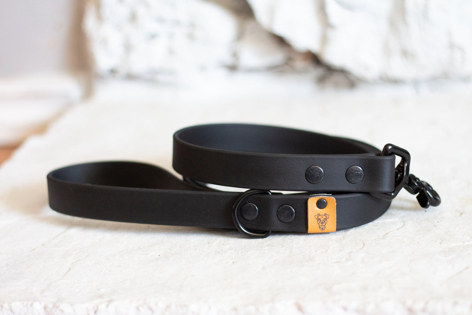 Black Proof Leash