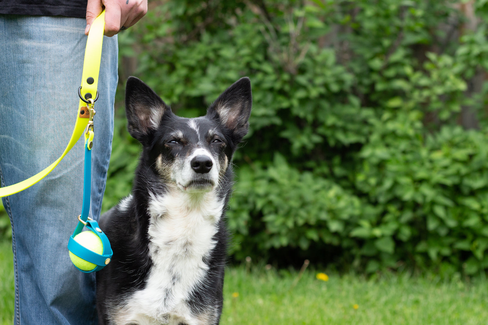 Design Your Own Ball Holder