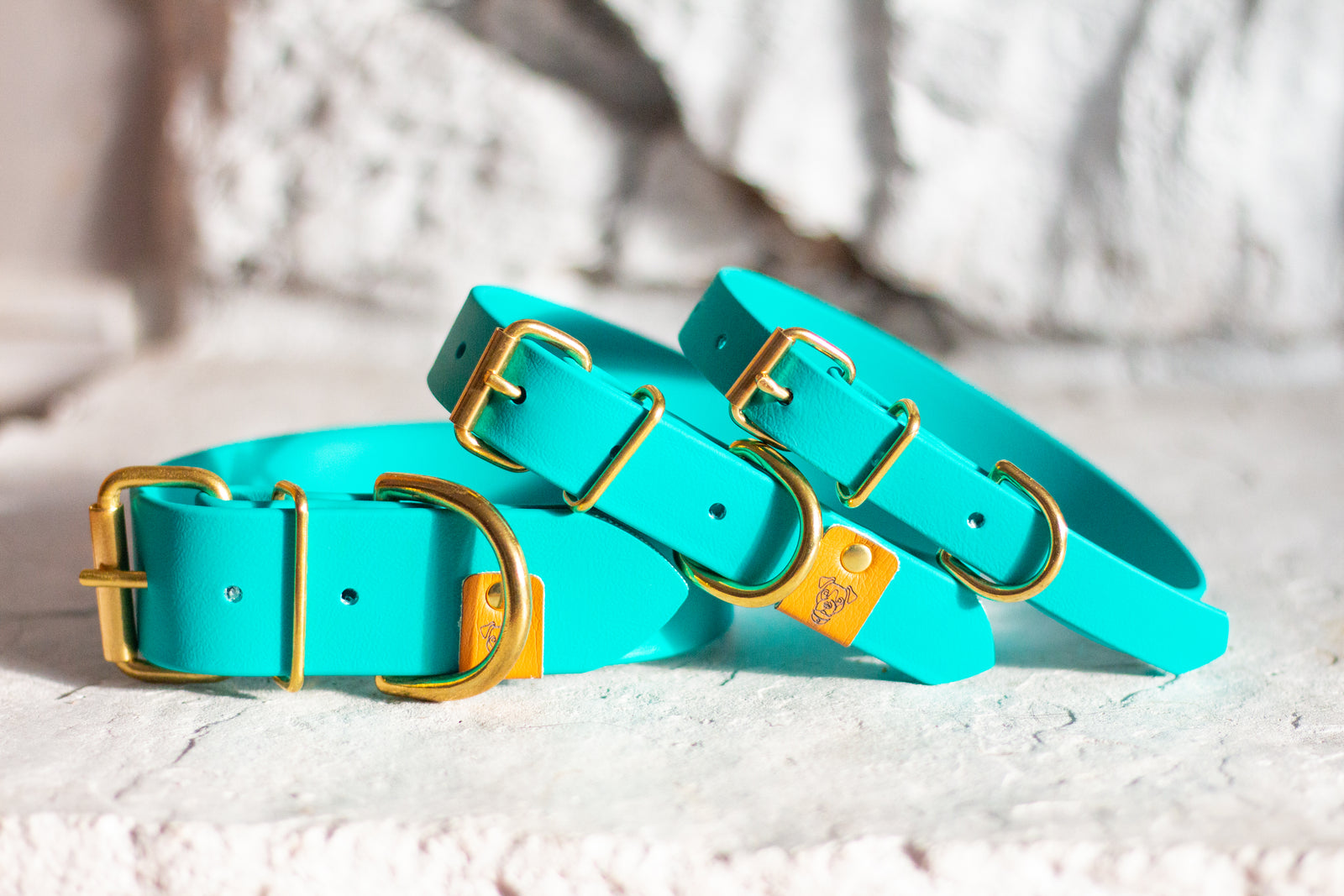 Teal Proof Collar