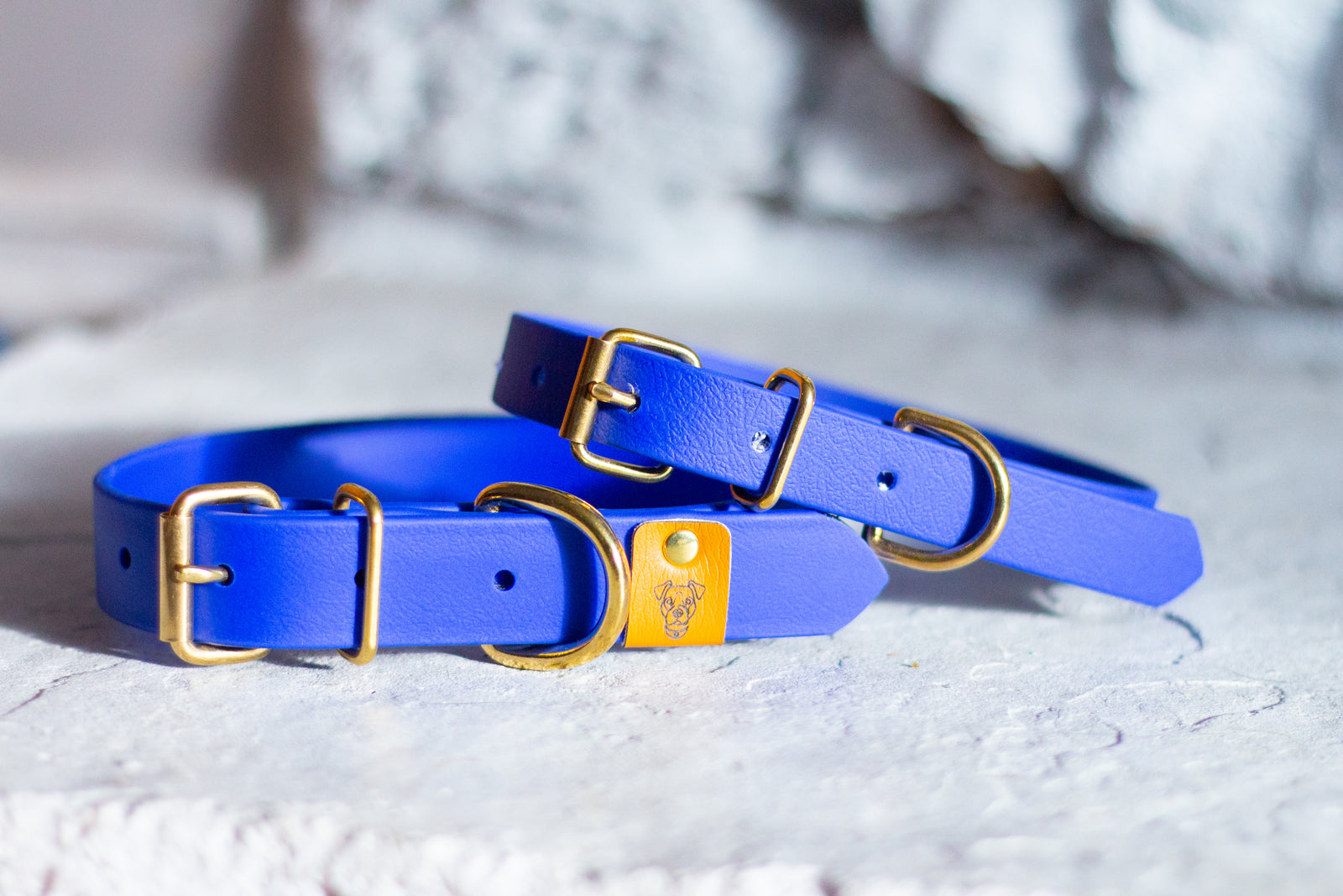 Royal Blue Proof Collar