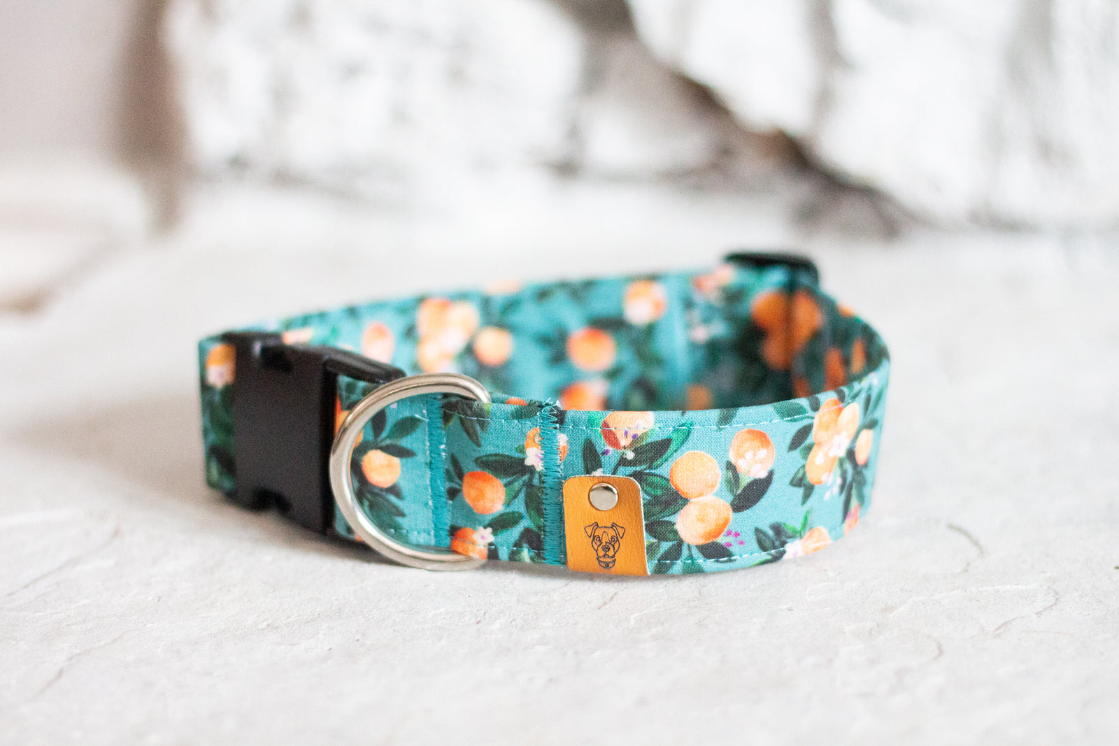 Clementine Buckle Collar