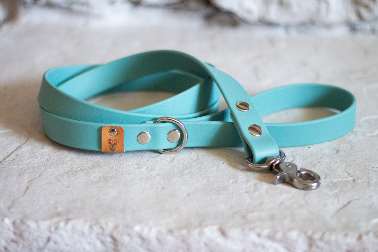 Dusty Turquoise Proof Leash