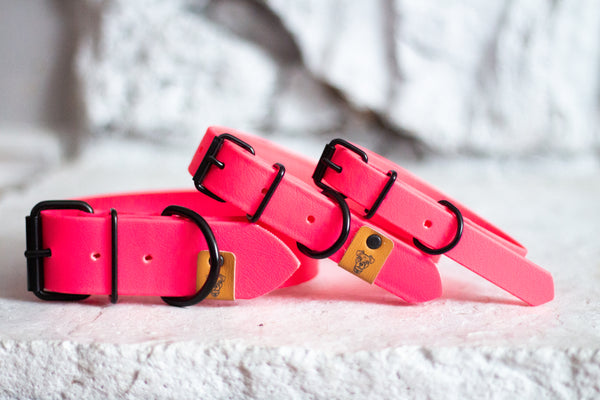 Neon Pink Waterproof Dog Collar | N.G. Collars