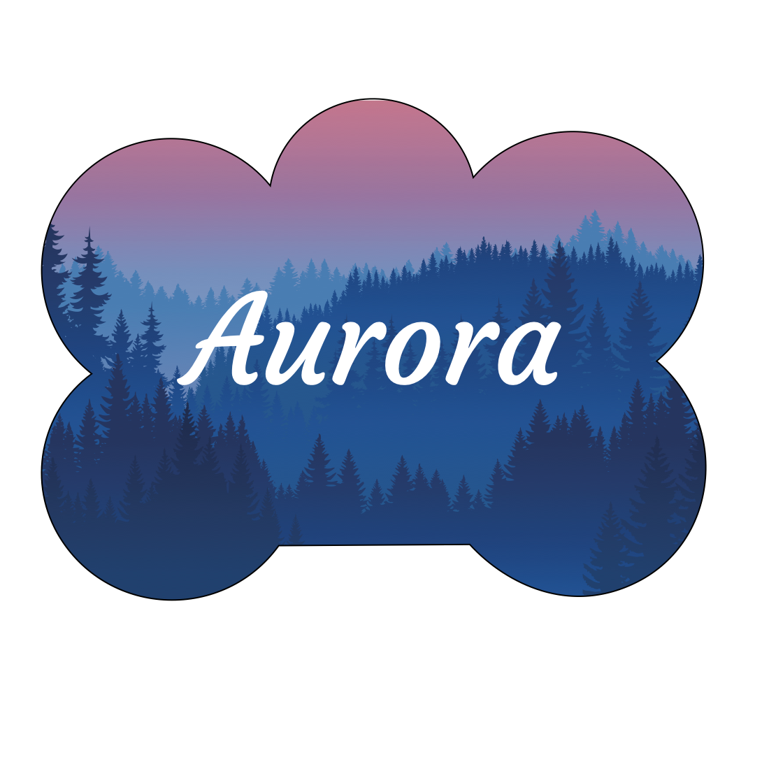 Aurora Pet Tag