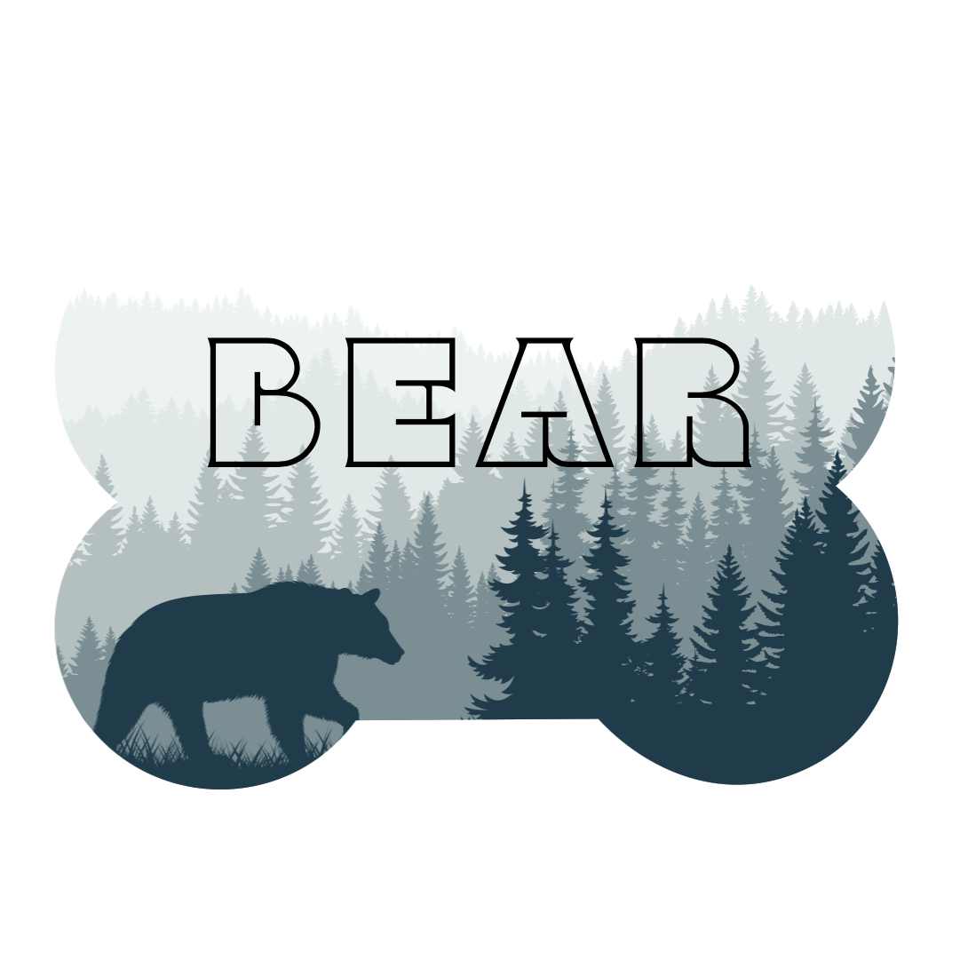 Bear Pet Tag