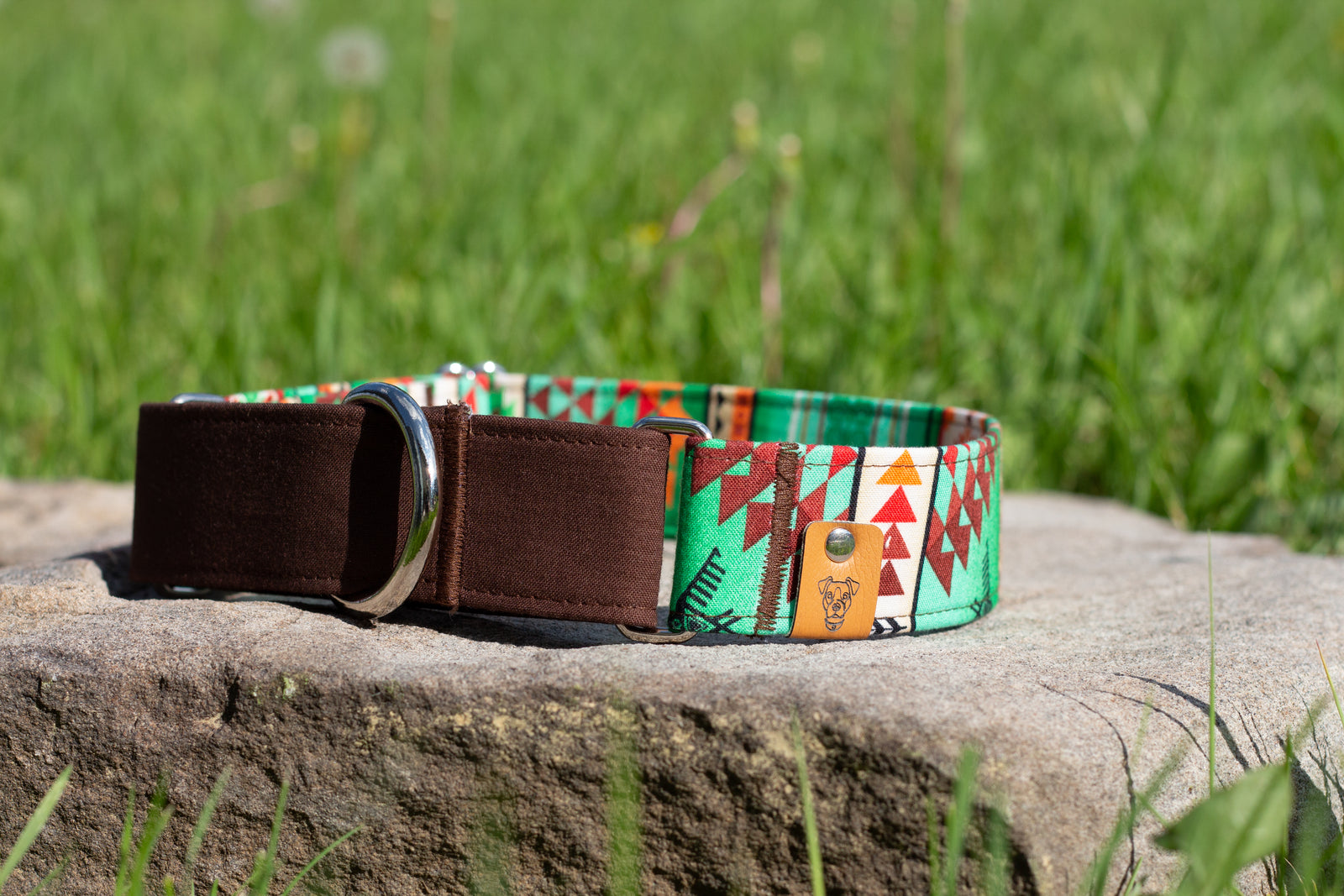 Nechako Martingale Collar