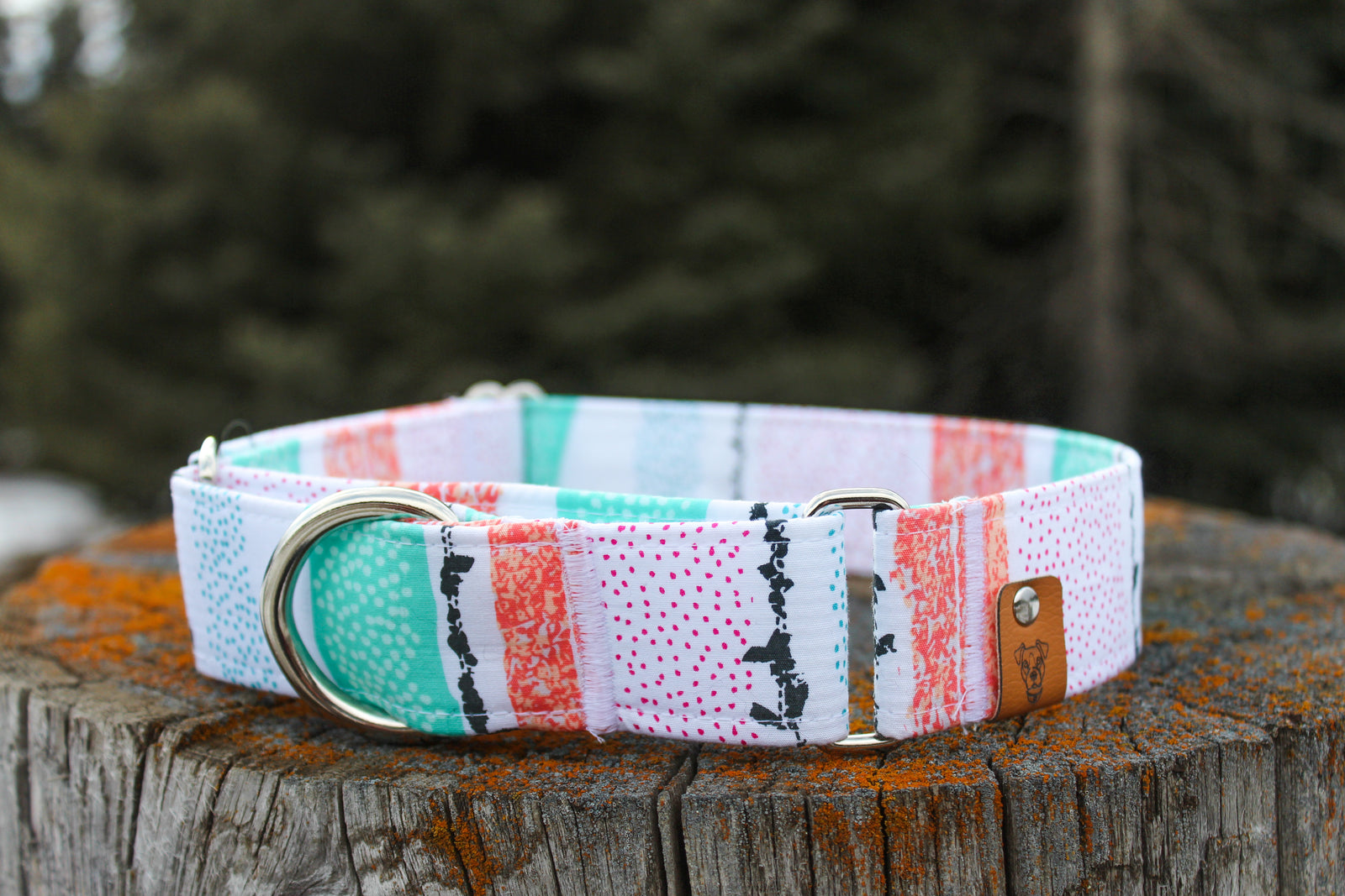 Spring Fling Martingale Collar - N.G. Collars
