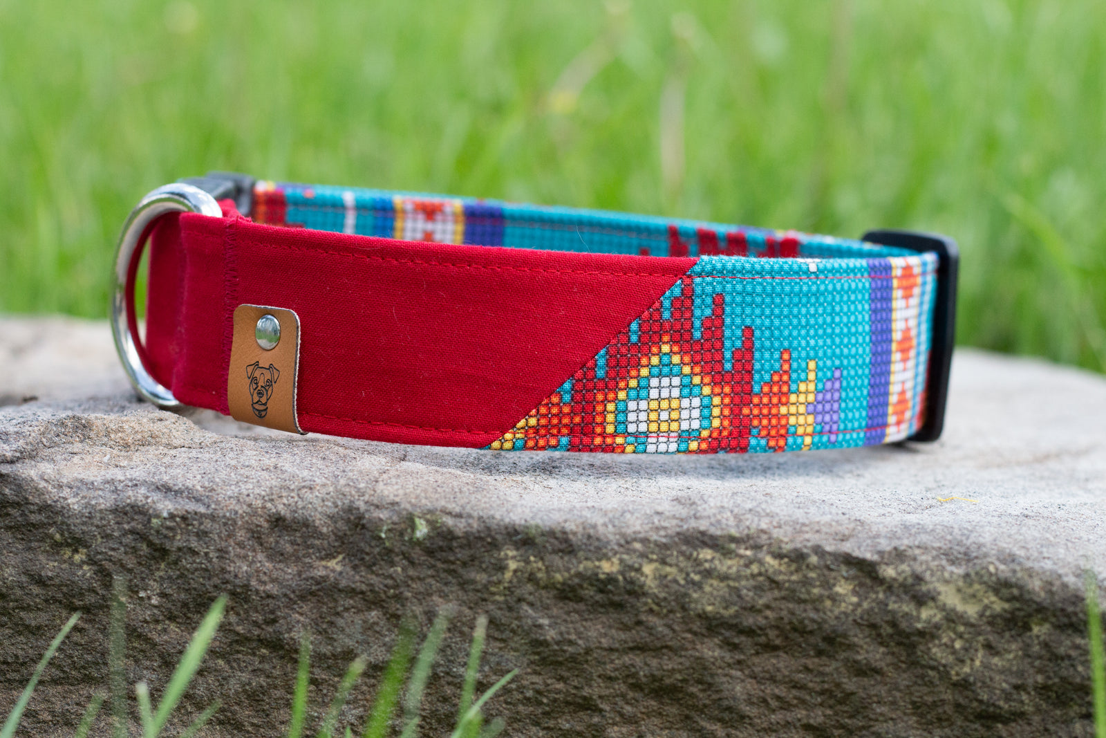 Fraser Buckle Collar