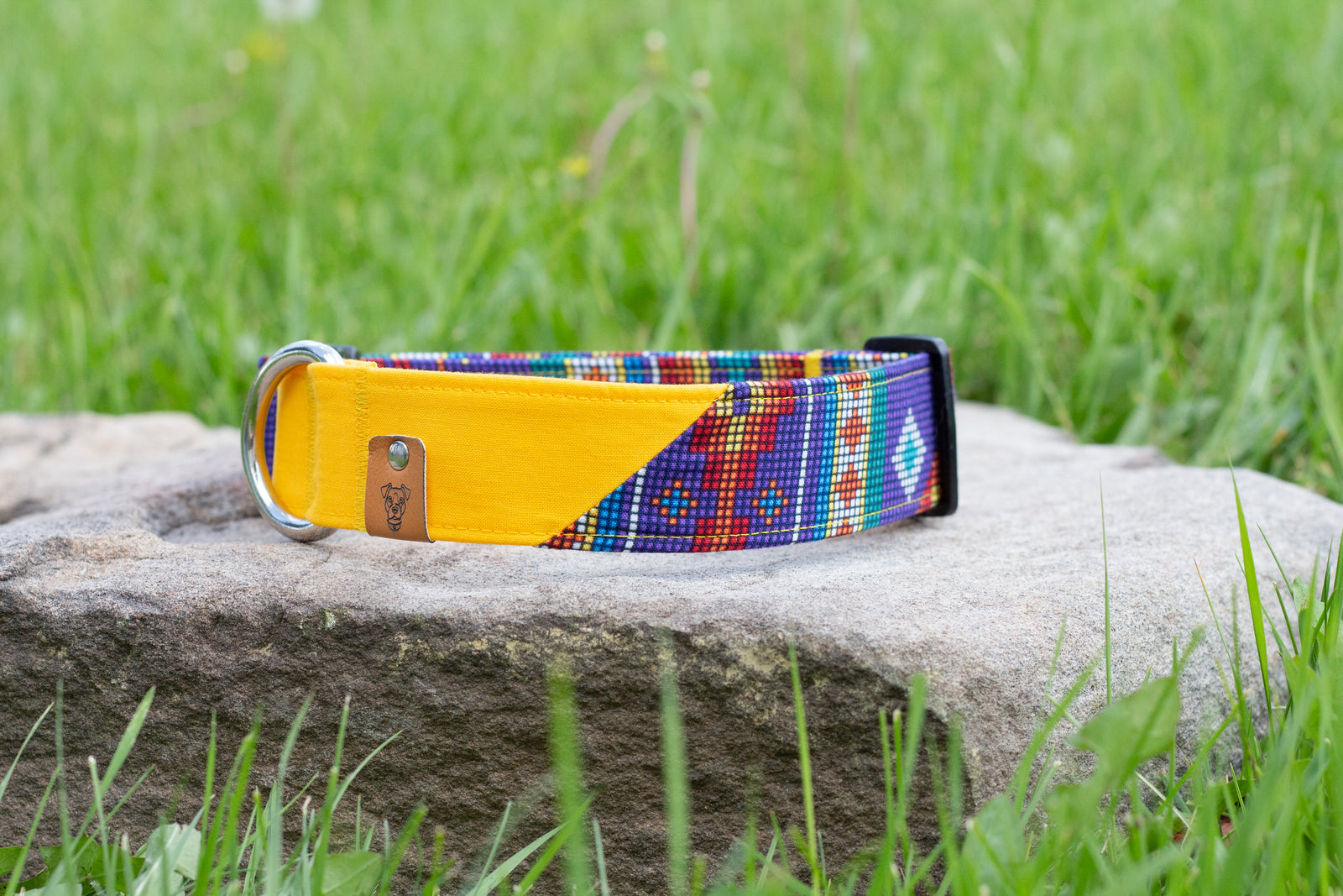 Columbia Buckle Collar