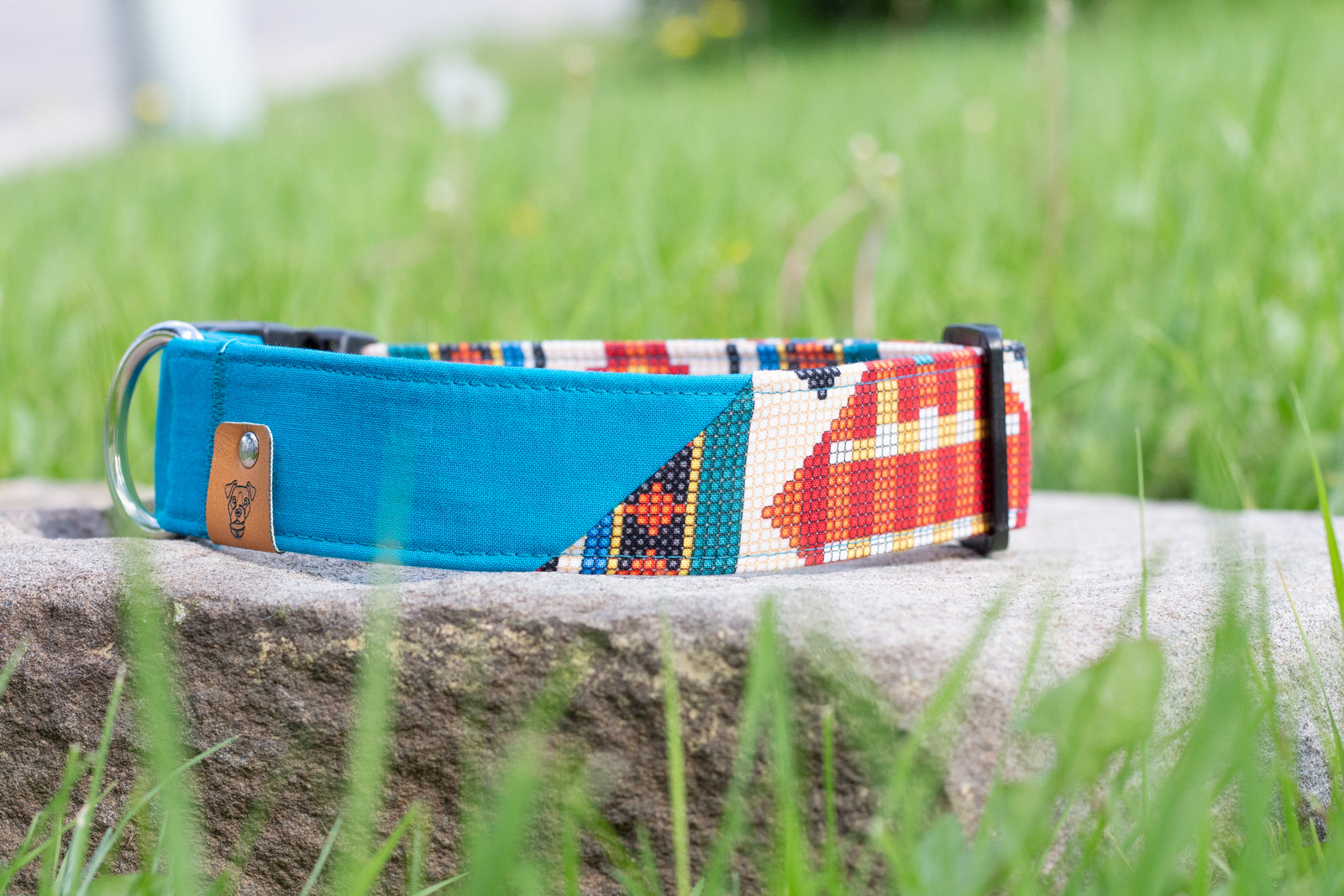 Cowichan Buckle Collar