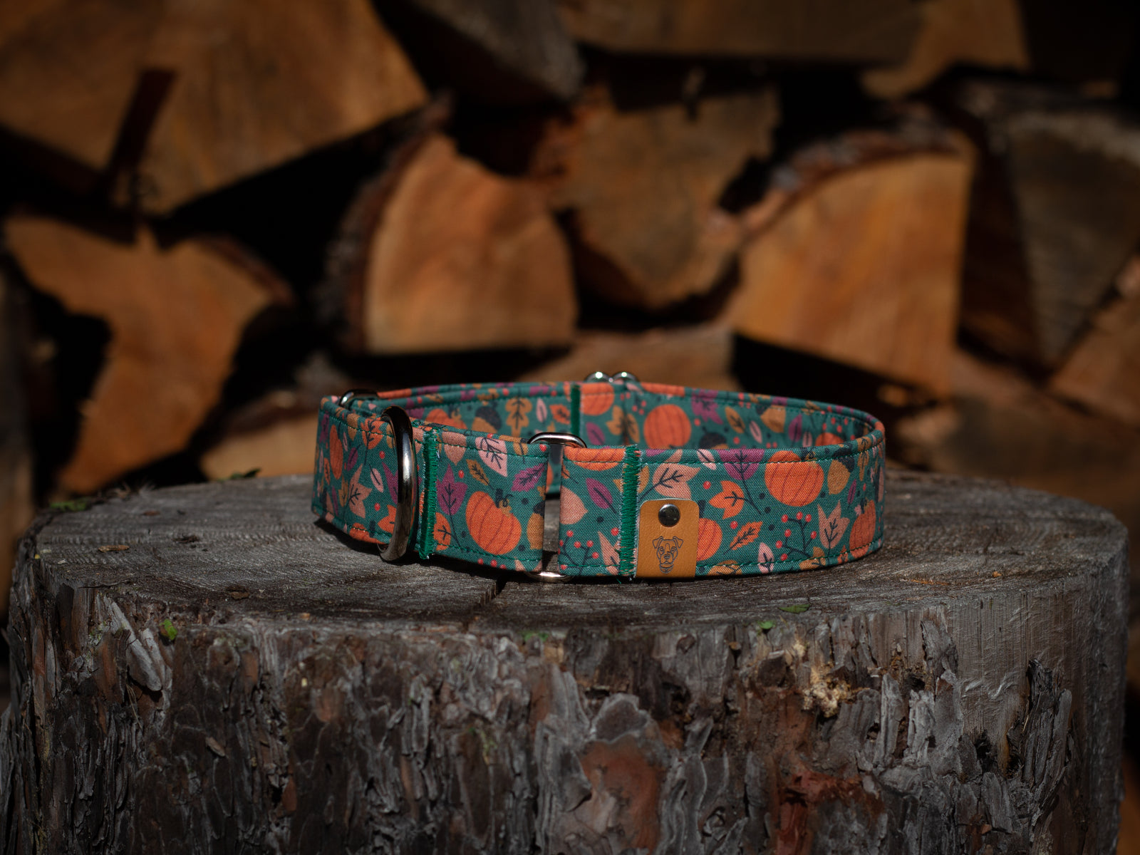 Pumpkin Spice Martingale Collar