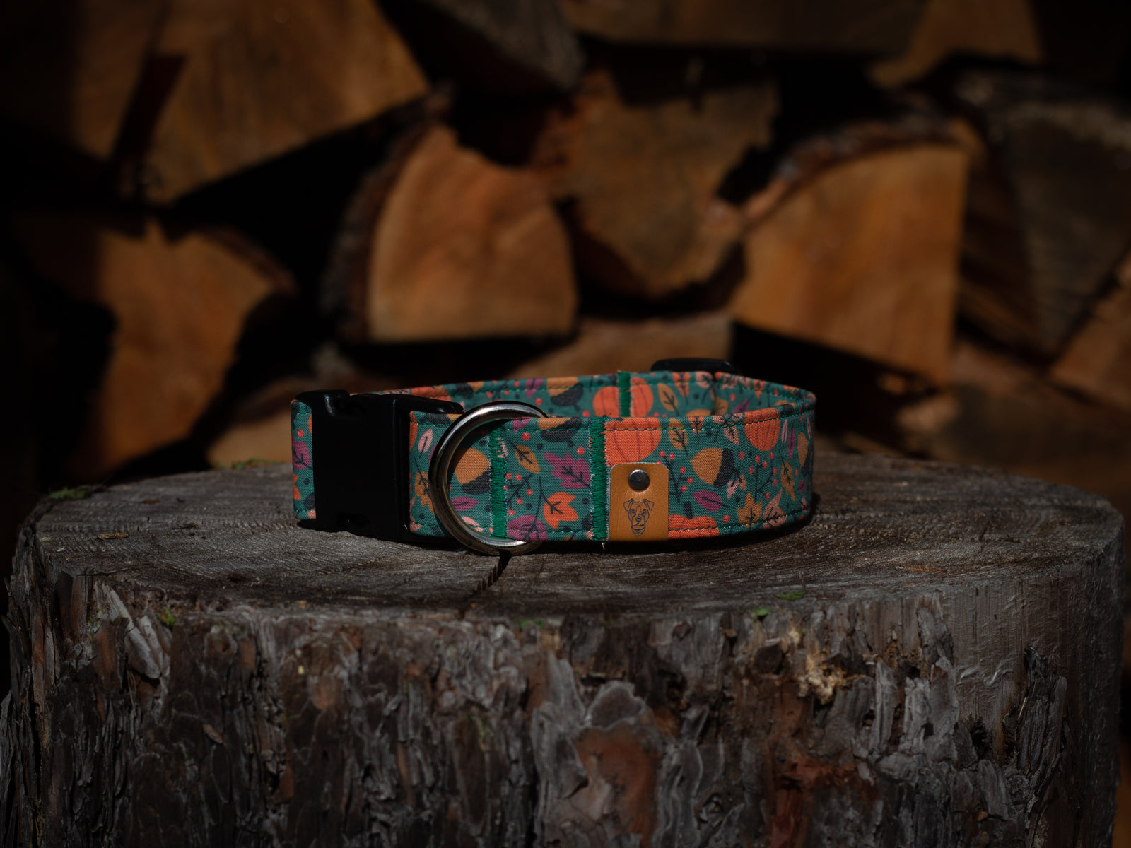 Pumpkin Spice Buckle Collar