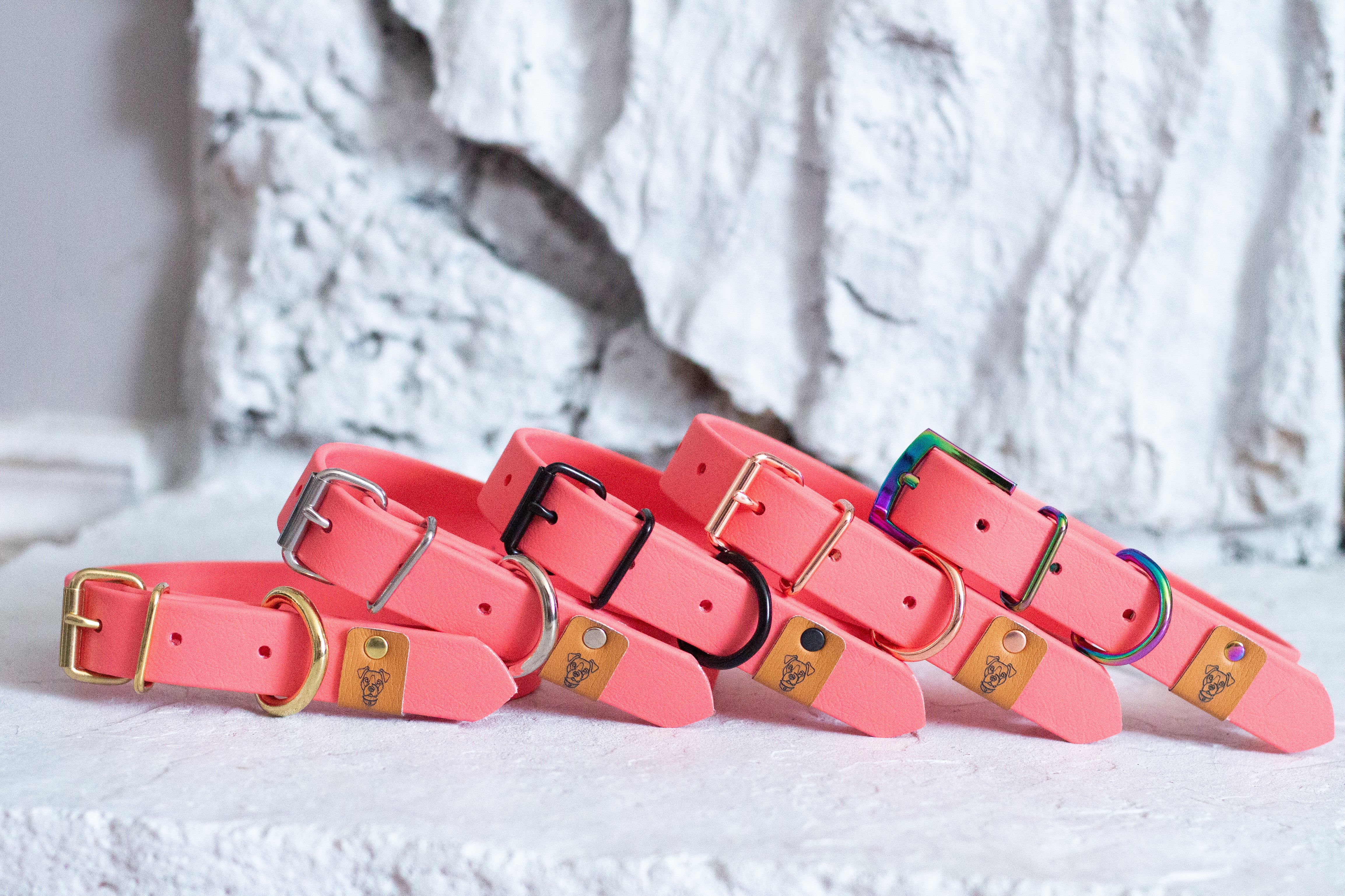 Coral Waterproof Dog Collar N.G. Collars