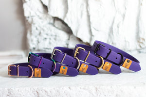Purple Proof Collar