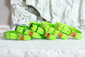 Lime Green Proof Collar