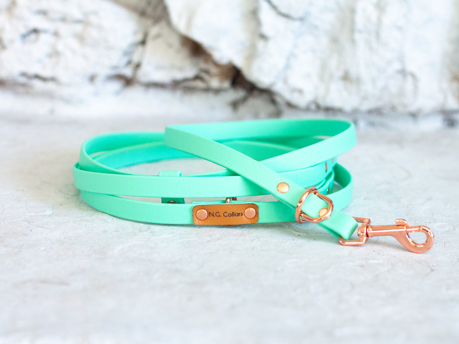Mint Hybrid Leash