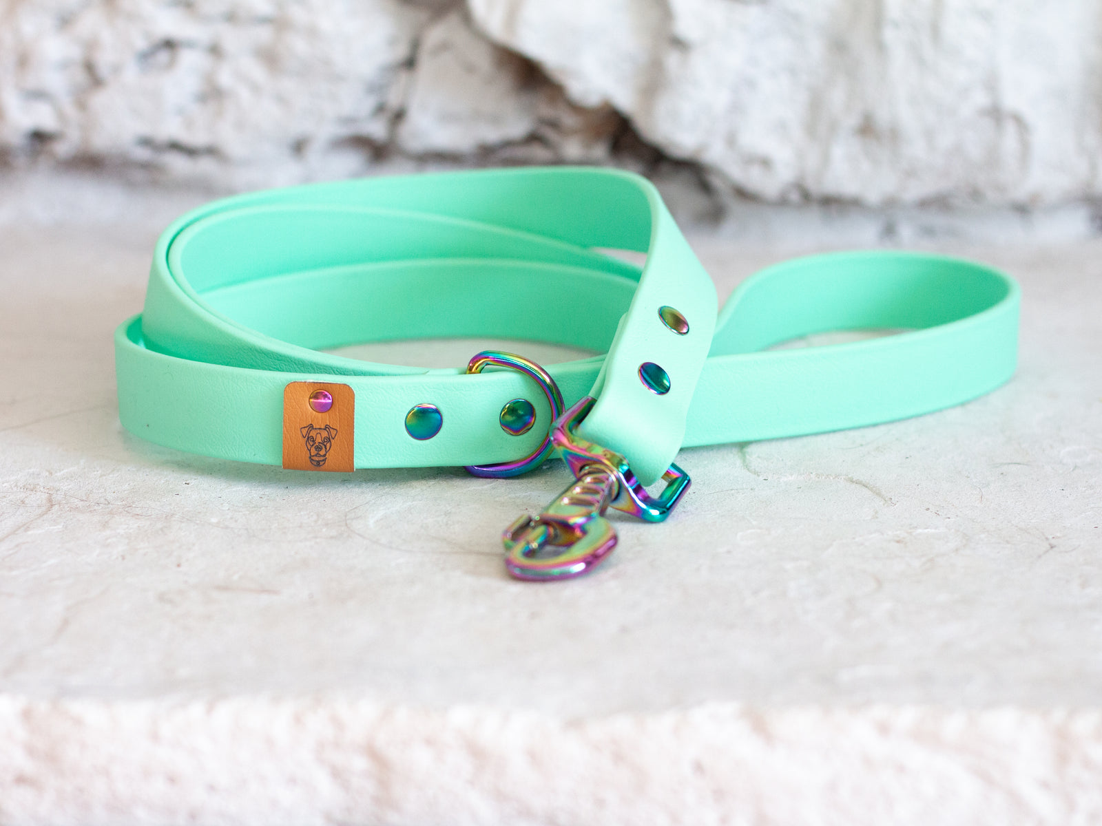 Mint Proof Leash
