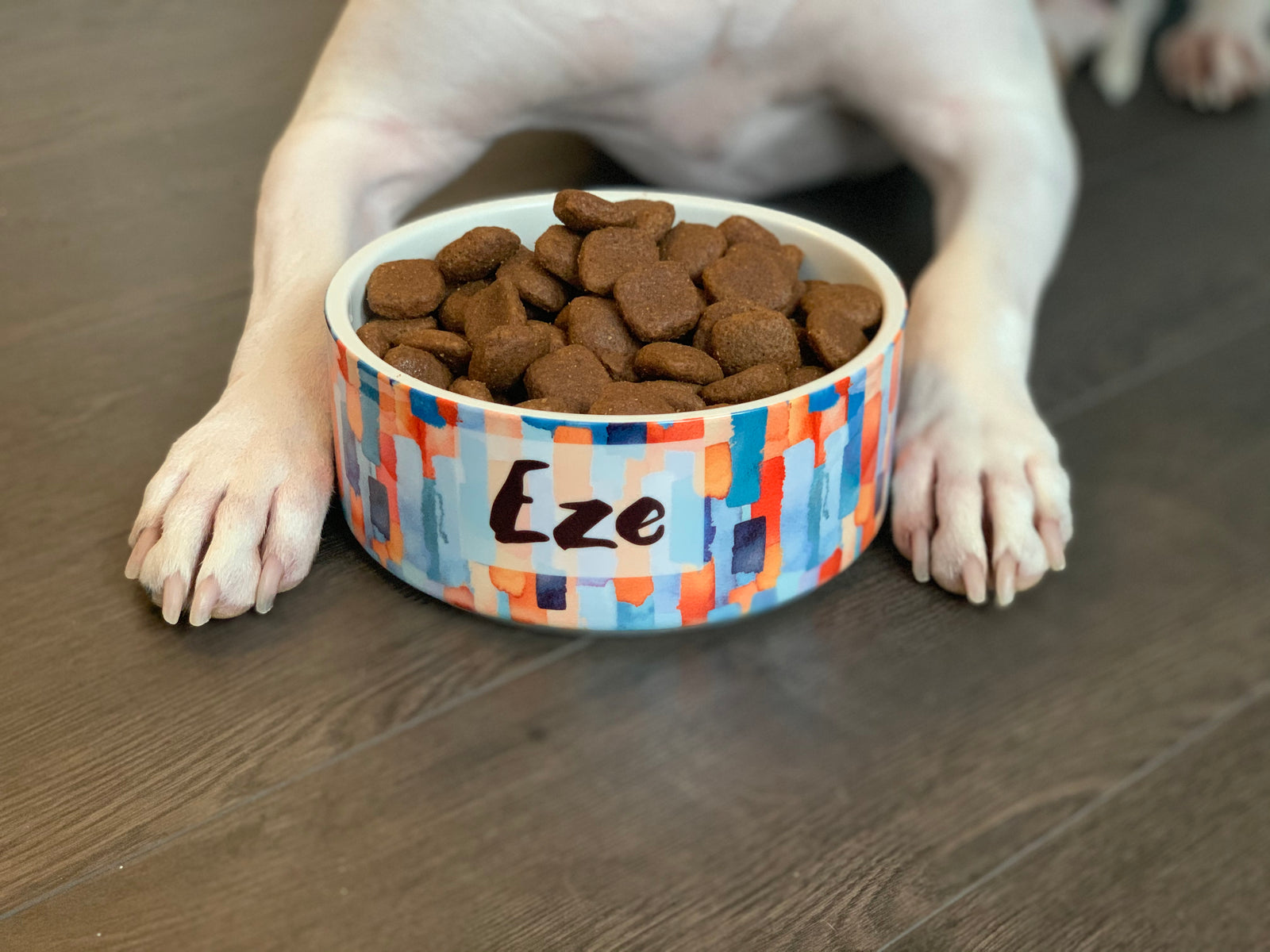 Eze Dog Bowl