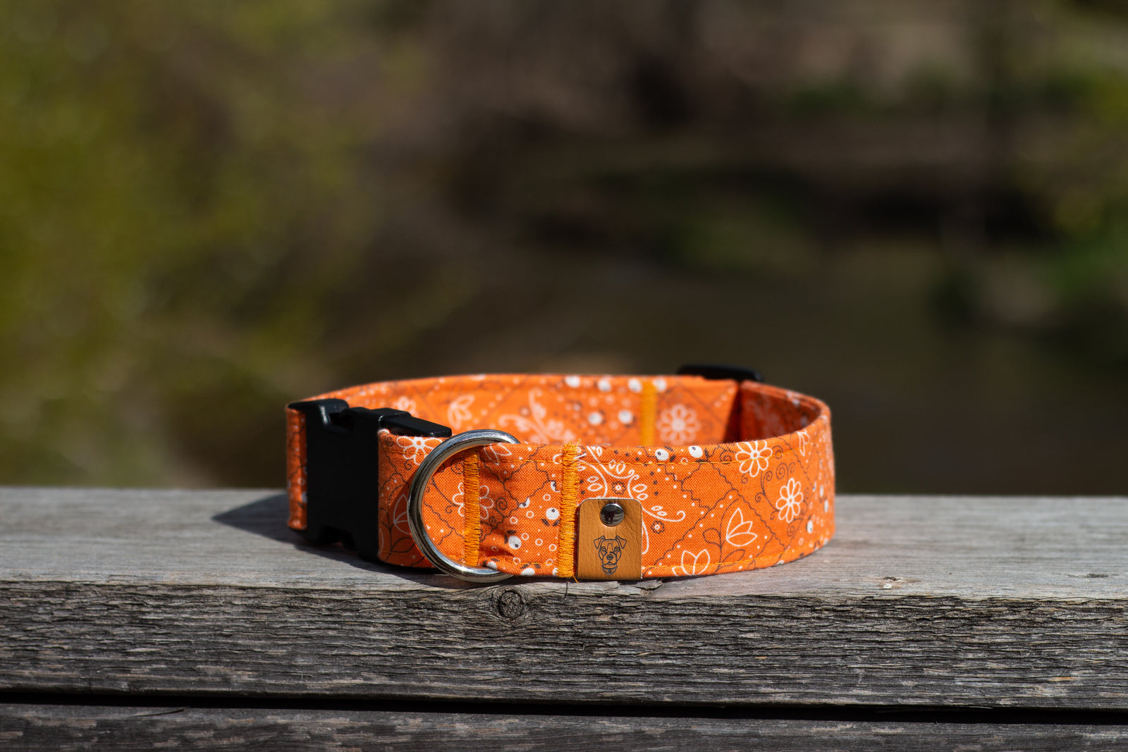 Orange Paisley Buckle Collar