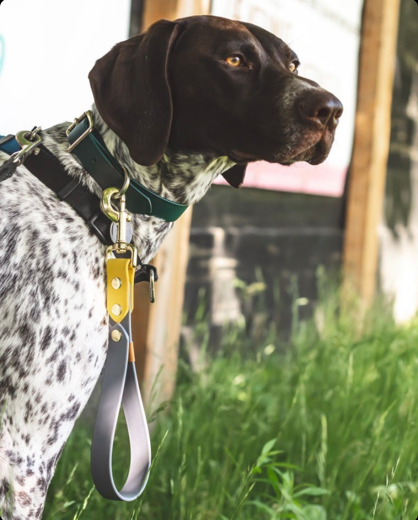 Design Your Own Grab Leash