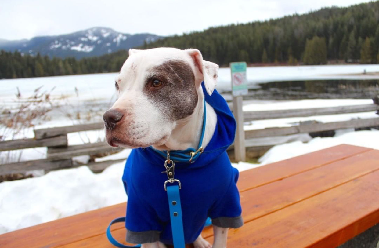 Sky Blue Proof Leash