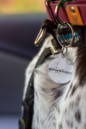 Marble Pet Tag
