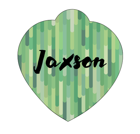 Jaxson Pet Tag