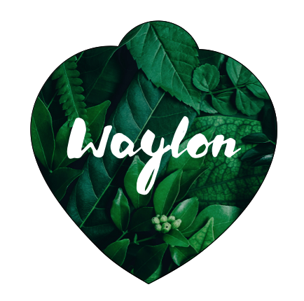 Waylon Pet Tag