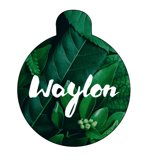 Waylon Pet Tag