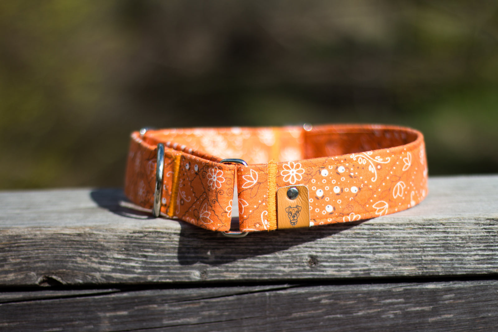 Orange Paisley Martingale Collar