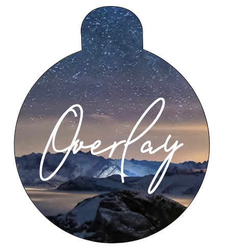 Starry Sky Winter Landscape Pet Tag