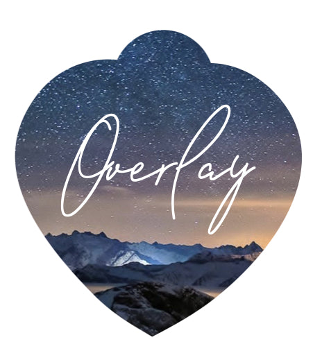 Starry Sky Winter Landscape Pet Tag