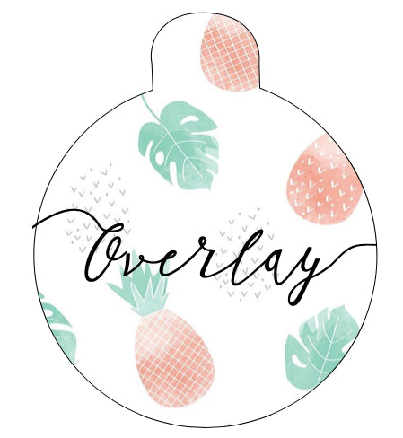Pineapple Pet Tag