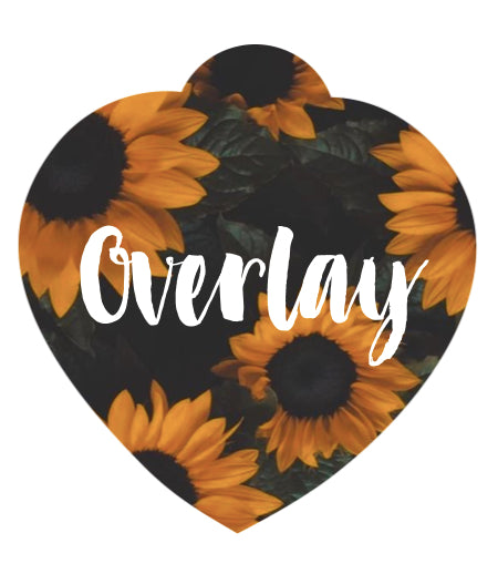 Sunflowers Pet Tag